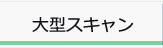 大型スキャン